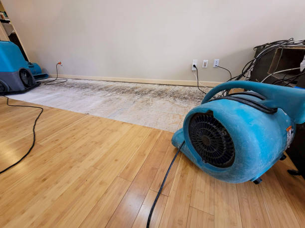 Professional Structural Drying technician working in S Coffeyville, OK